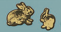 Lapin